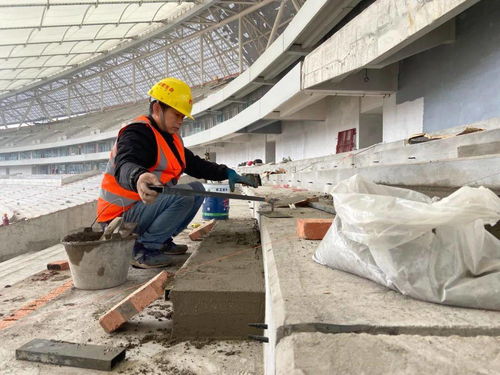 樂(lè)山奧體中心 全力推進(jìn)內(nèi)裝工程 確保明年8月前竣工投運(yùn)